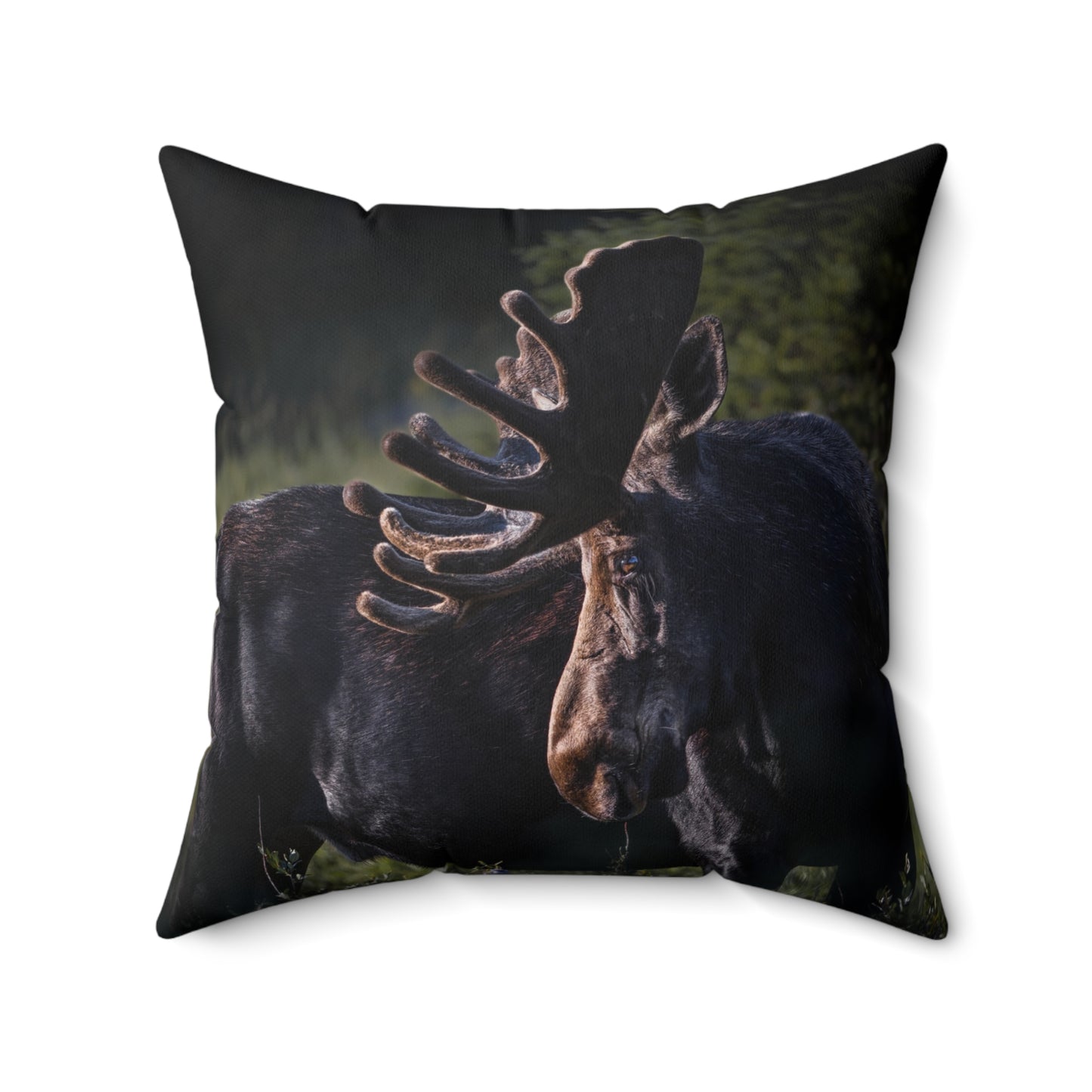 "VELVET HIGHLIGHTS" Bull Moose Photo Pillow