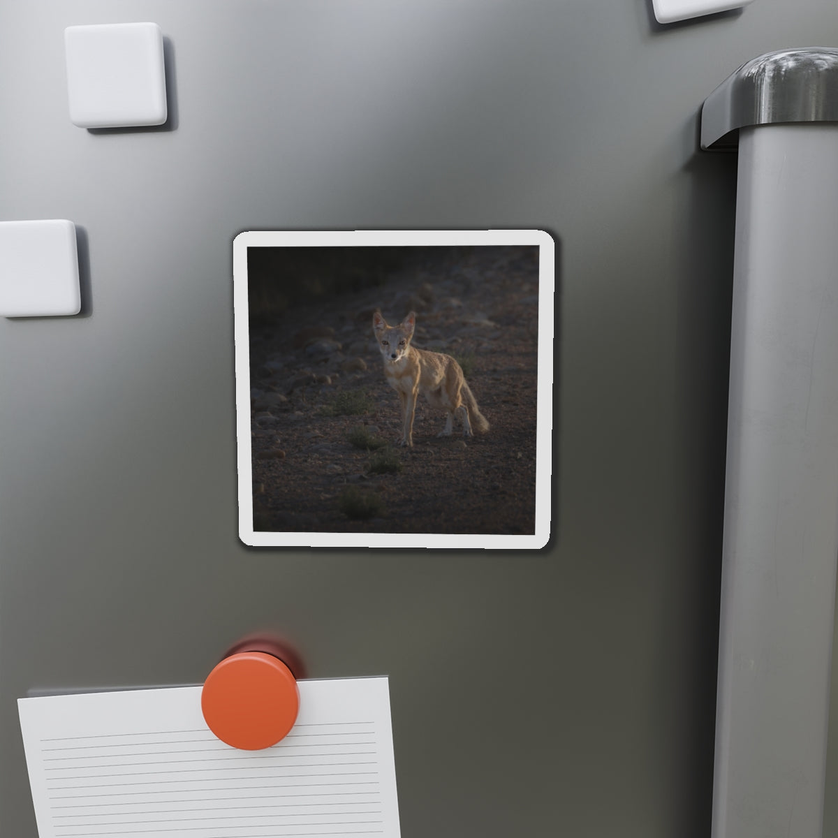 "AGLOW" Photo Magnet