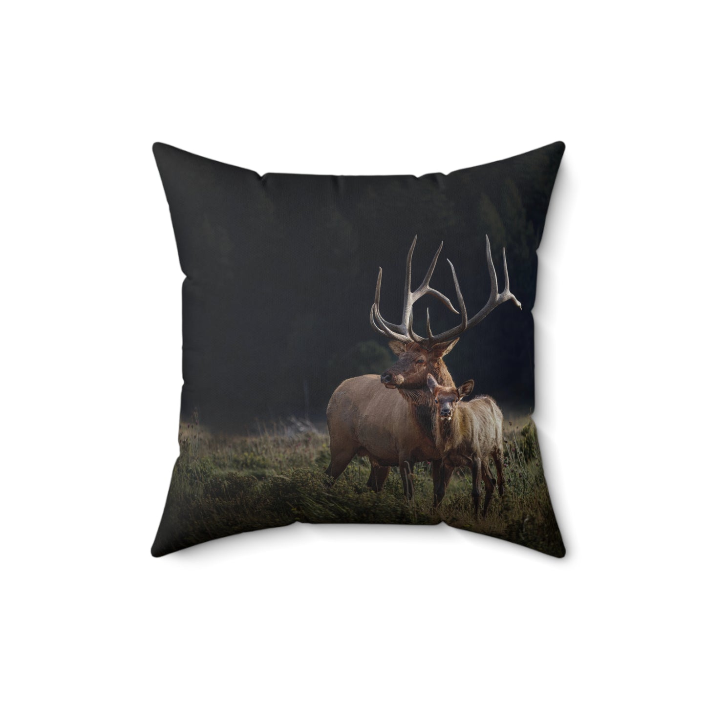 "GENERATIONS" Bulle Elk Photo Pillow