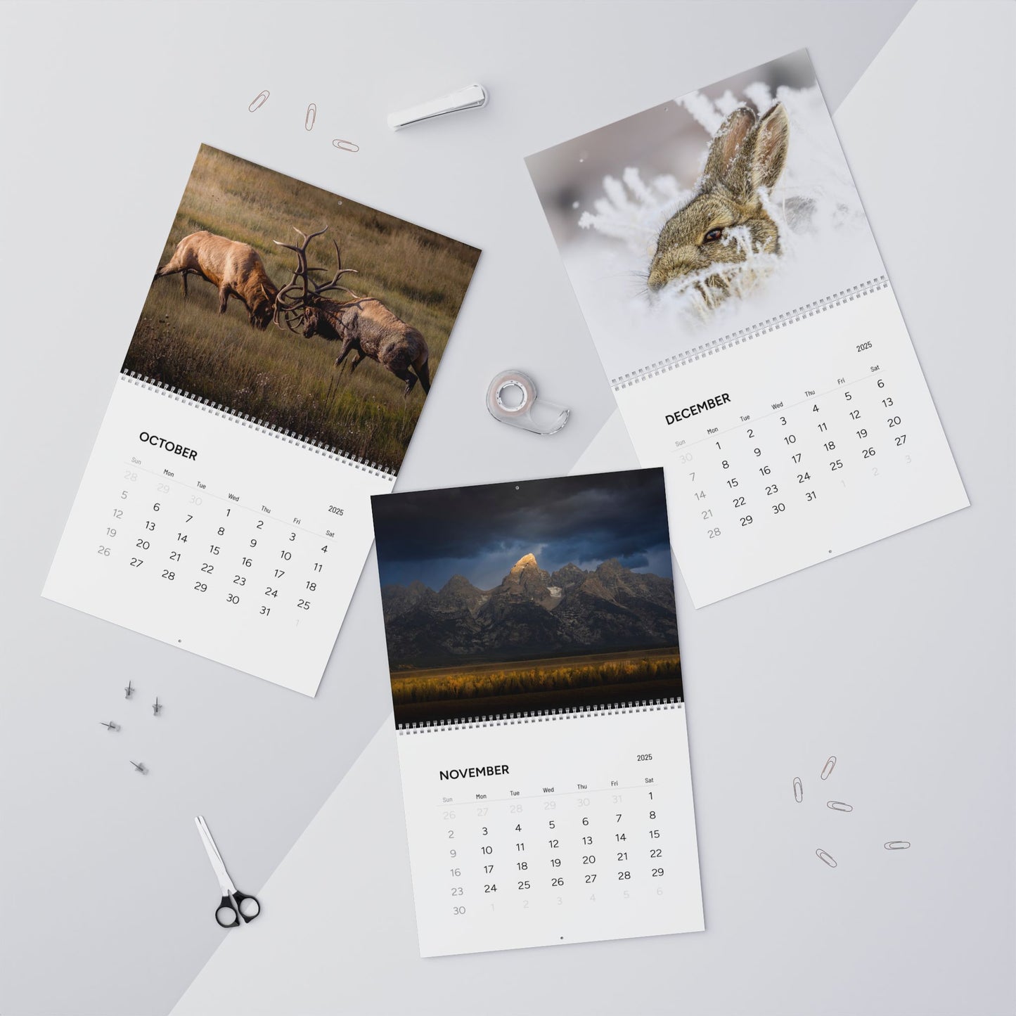 IN SEARCH OF WILD NATURE & WILDLIFE 2025 Wall Calendars