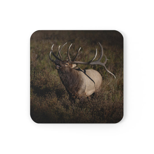 "SPLIT DECISION" Bull Elk Photo Coaster