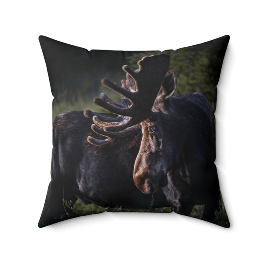 "VELVET HIGHLIGHTS" Bull Moose Photo Pillow