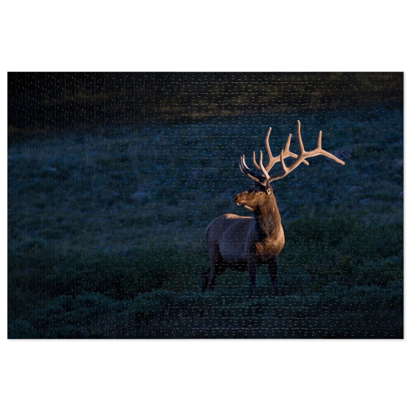 "LIGHT BEAM" BULL ELK - PUZZLE