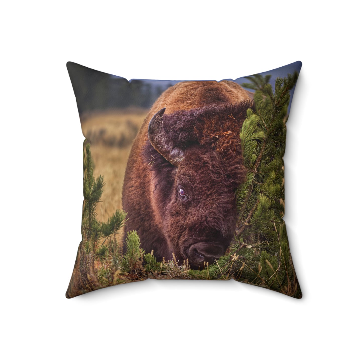 "RUBBIN" Bison Photo Pillow