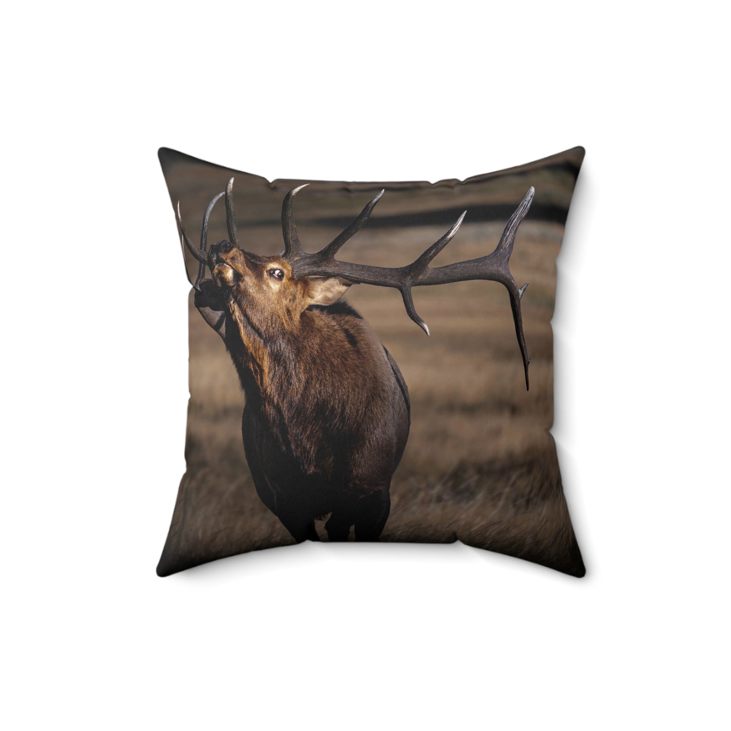 "SHOWING OFF FROM THE SHADOWS" Bull Elk Photo Pillow