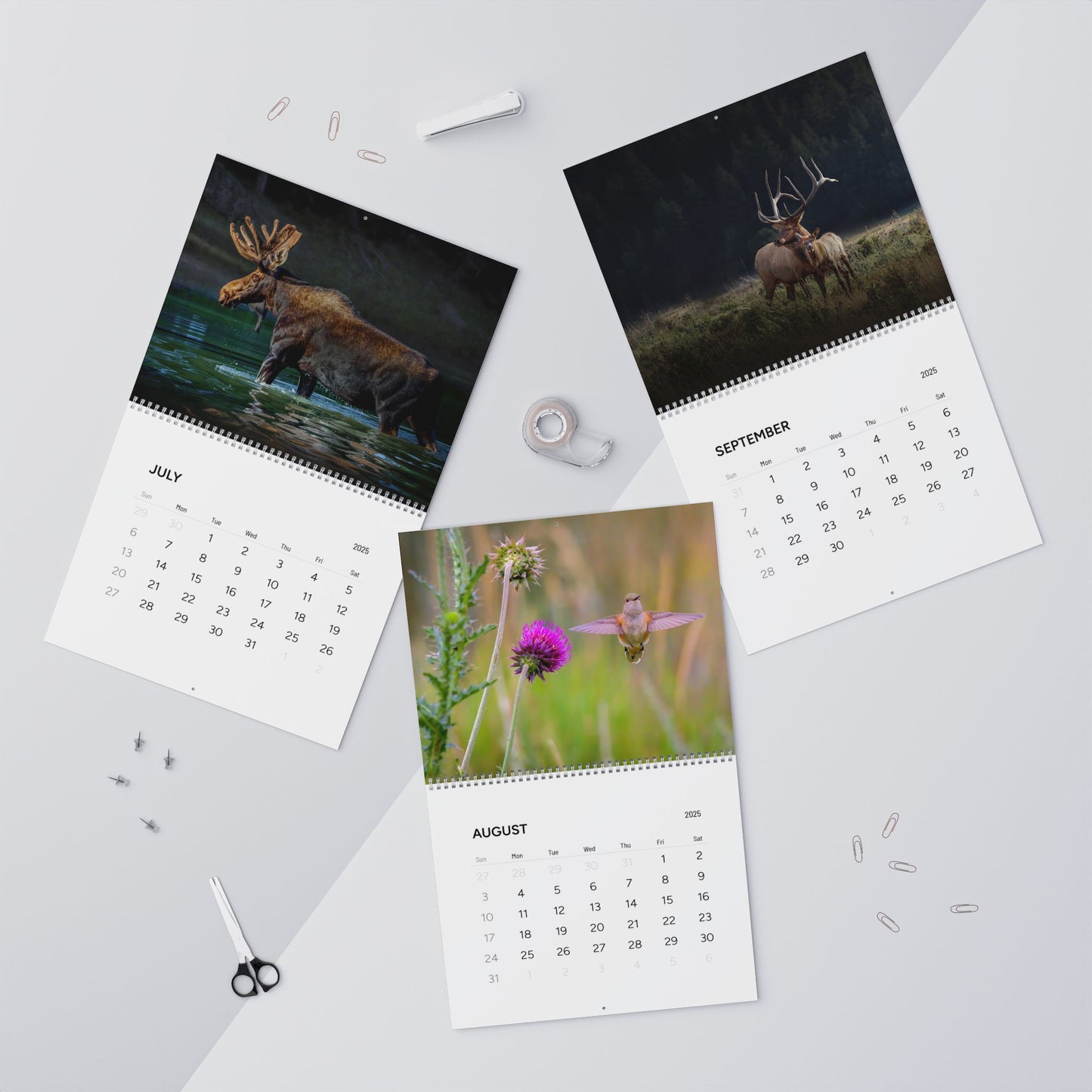 IN SEARCH OF WILD NATURE & WILDLIFE 2025 Wall Calendars