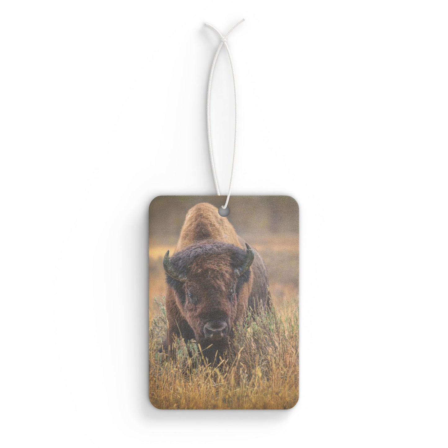 "MISTY MORNING" Car Air Freshener