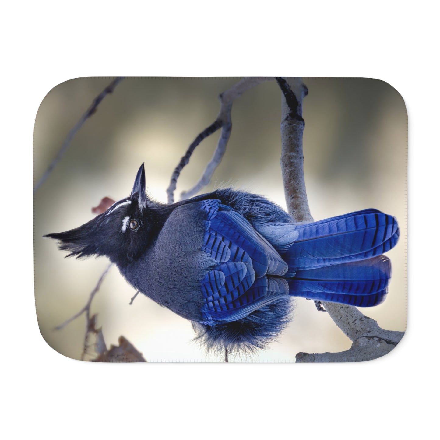 "STELLAR" STELLERS JAY - SHERPA BLANKET