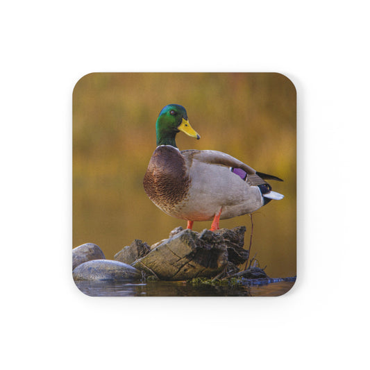 "SNAKE RIVER DRAKE" Mallard Duck Photo Coaster