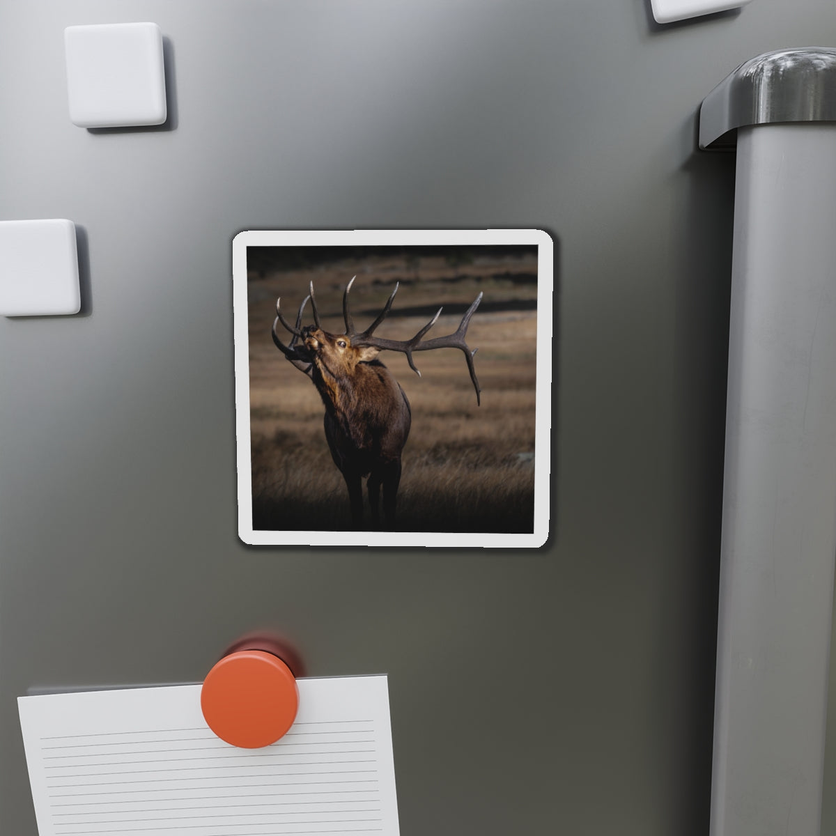 "WILD SIDE" Photo Magnet