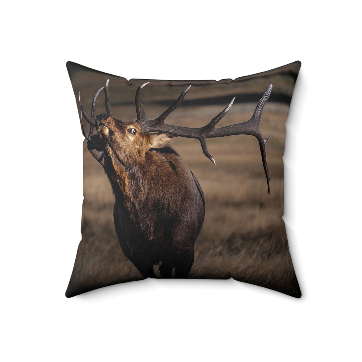 "SHOWING OFF FROM THE SHADOWS" Bull Elk Photo Pillow