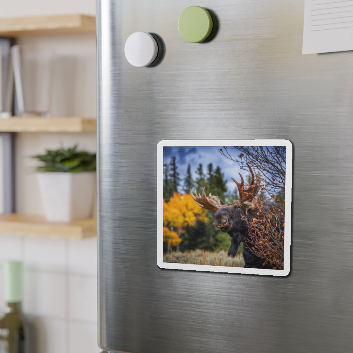 "PEEK A MOOSE" Photo Magnet