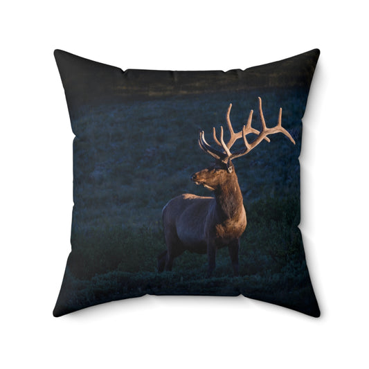 "LIGHT BEAM" Bull Elk Photo Pillow