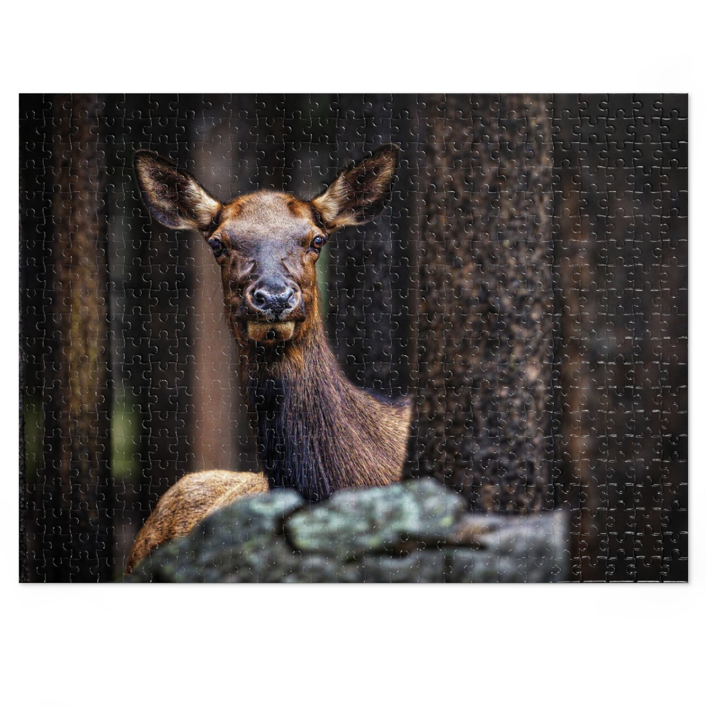 "LADY OF THE WOODS" COW ELK - PUZZLE