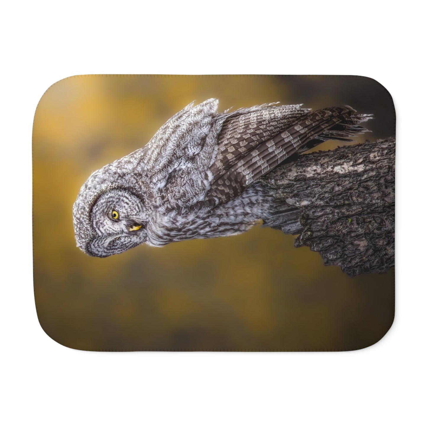 "THOUGHTFUL" GREAT GREY OWL - SHERPA BLANKET