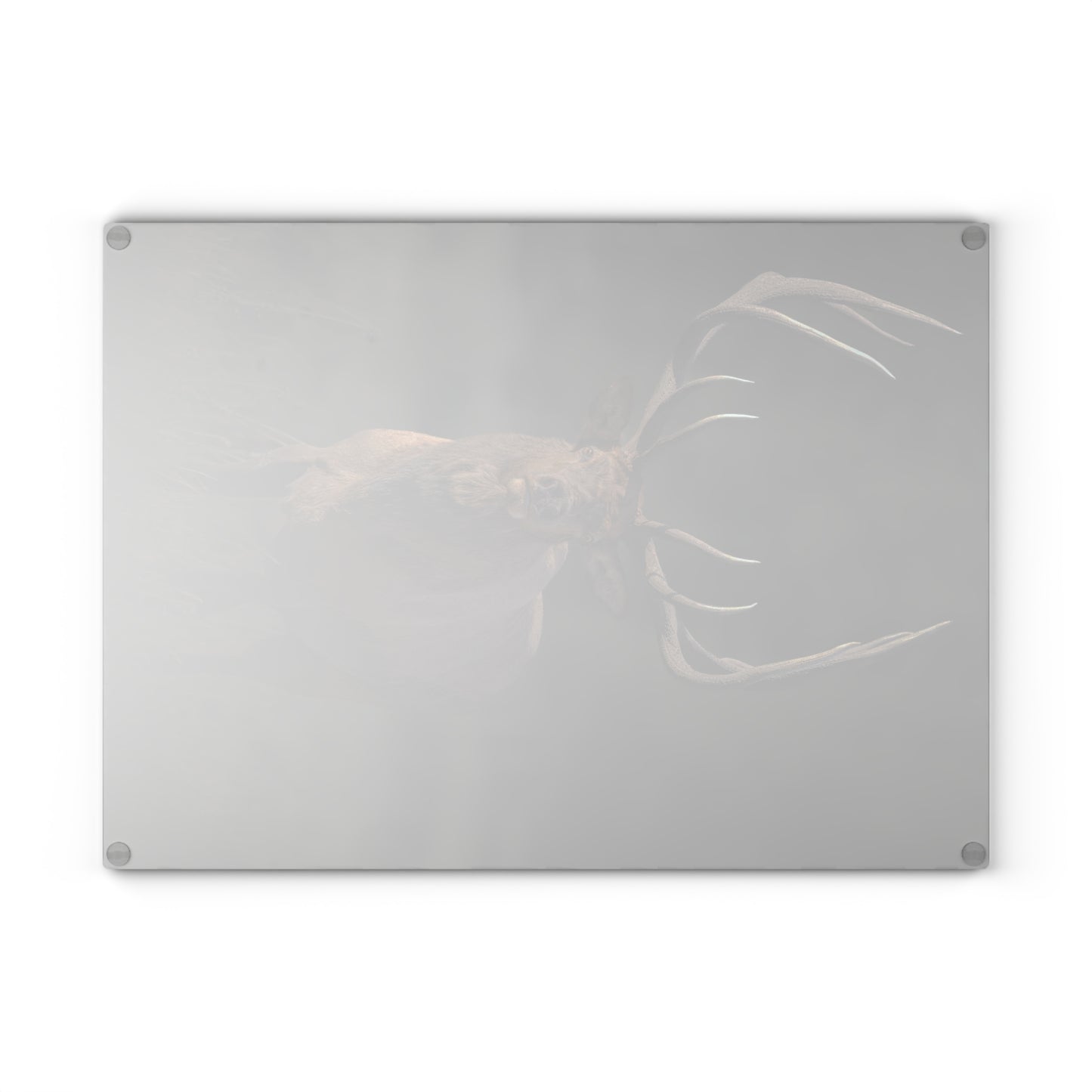 ATTENTION GETTER Glass Cutting Board