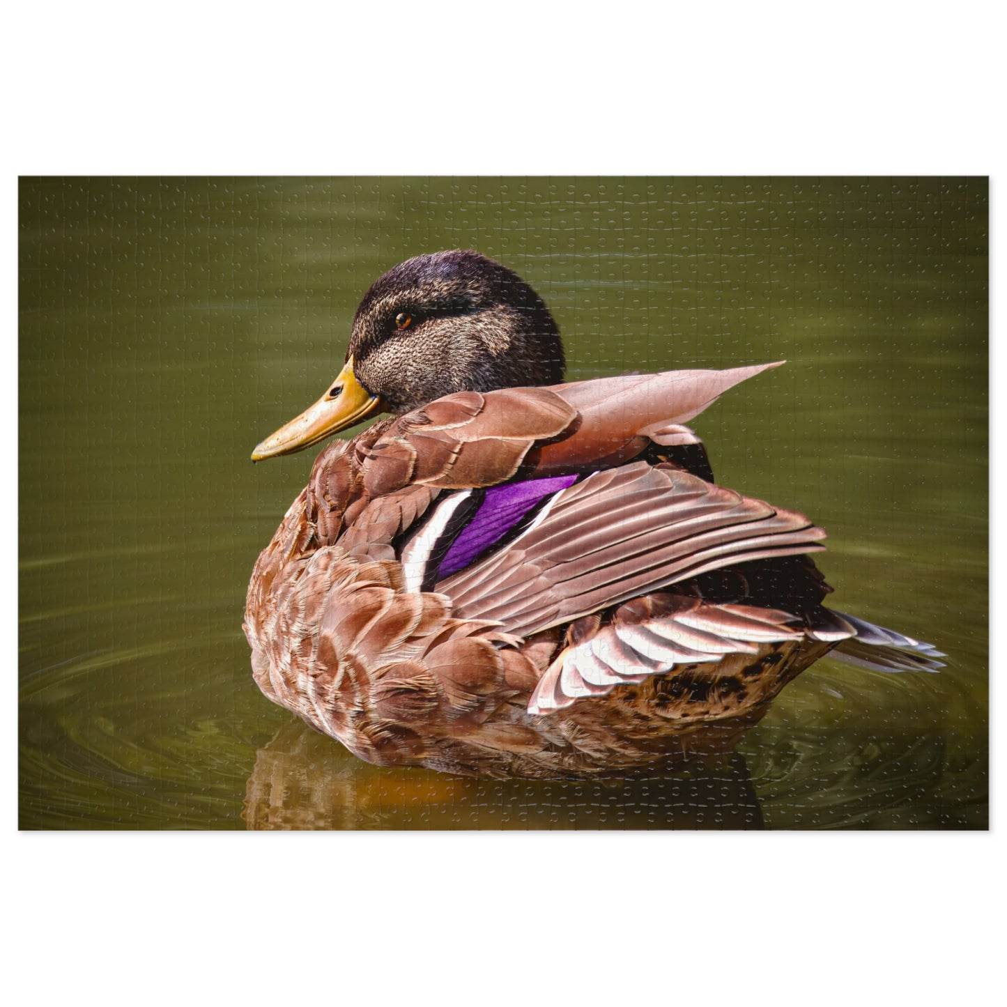 "SETTING COLOR" DUCK - PUZZLE