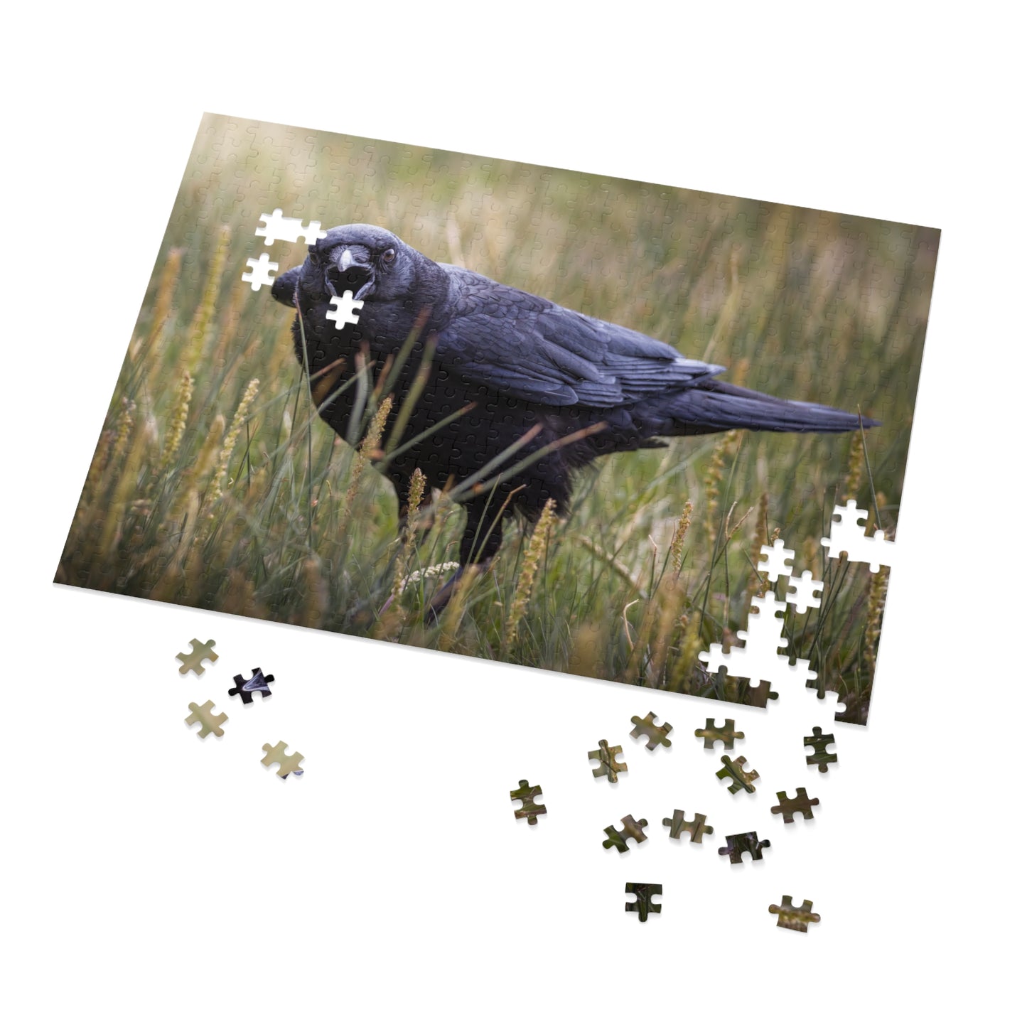 "SCAVENGER CALL" RAVEN - PUZZLE