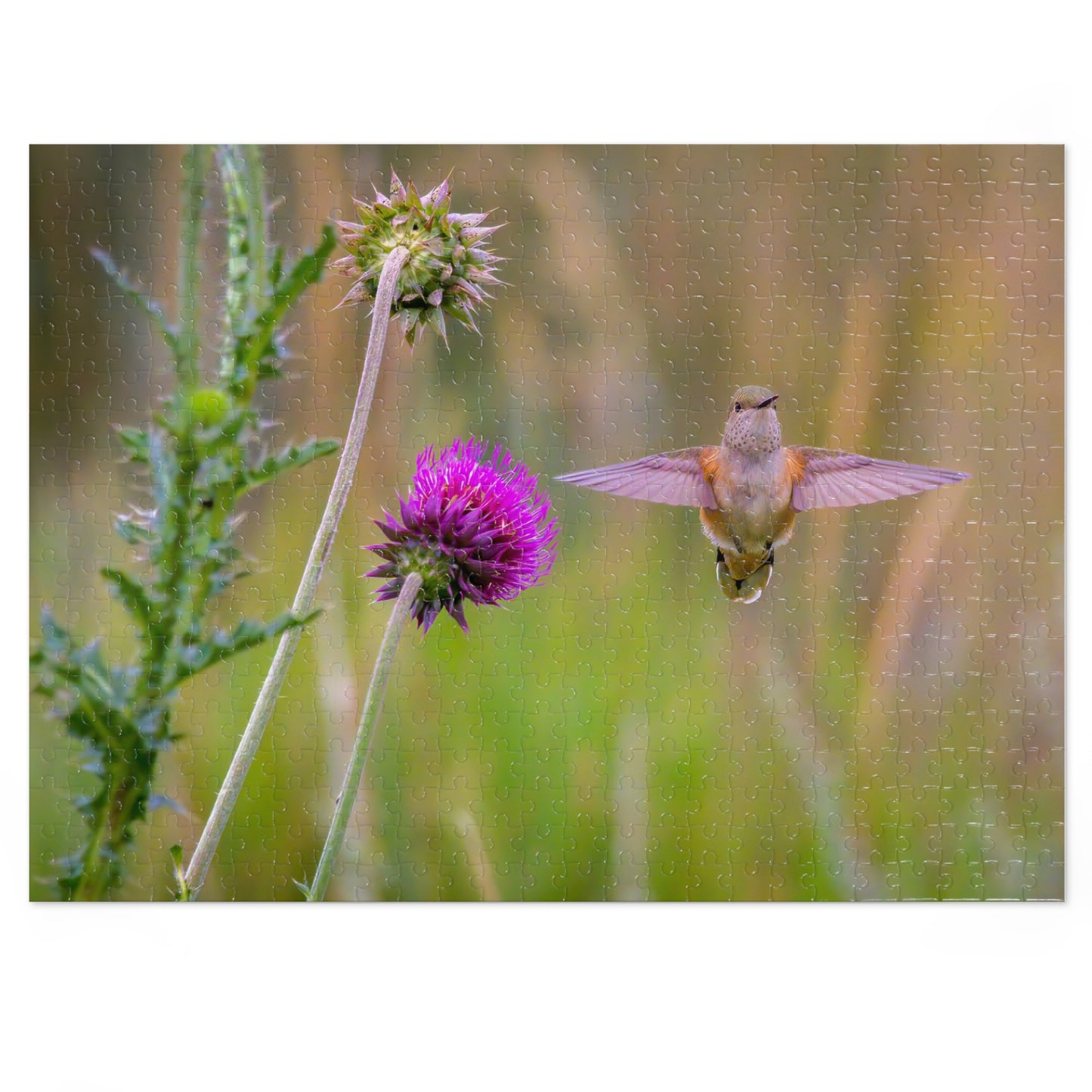 "THISTLE WINGS" HUMMINGBIRD - PUZZLE