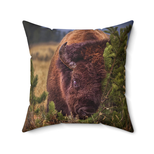 "RUBBIN" Bison Photo Pillow