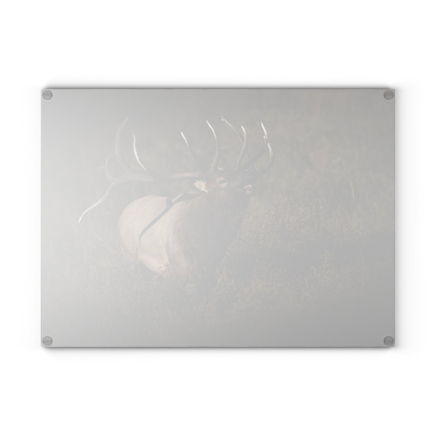 SPLIT DECISION Glass Cutting Board