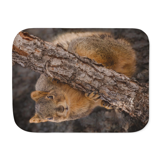 "CUTE ATTITUDE" SQUIRREL - SHERPA BLANKET