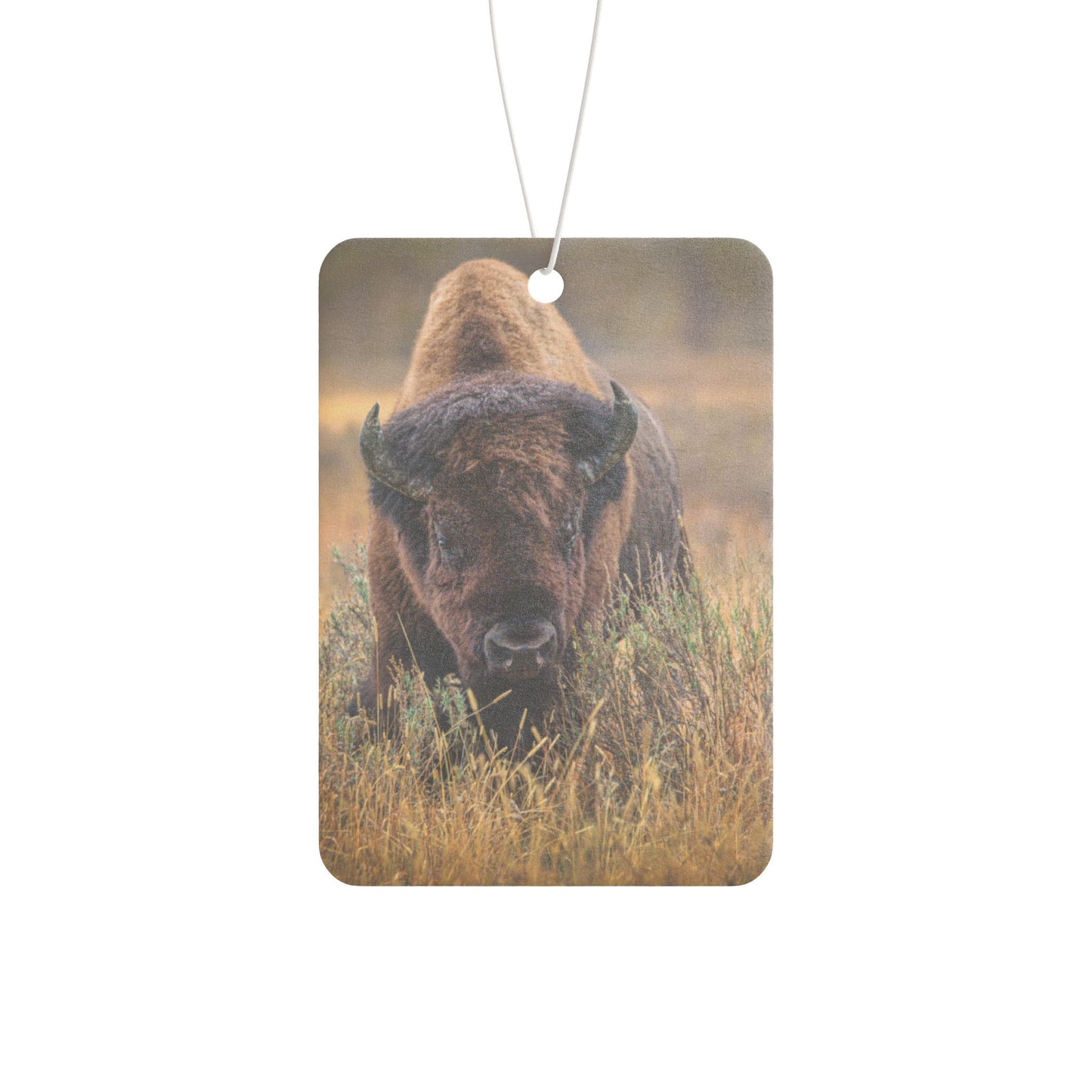 "MISTY MORNING" Car Air Freshener