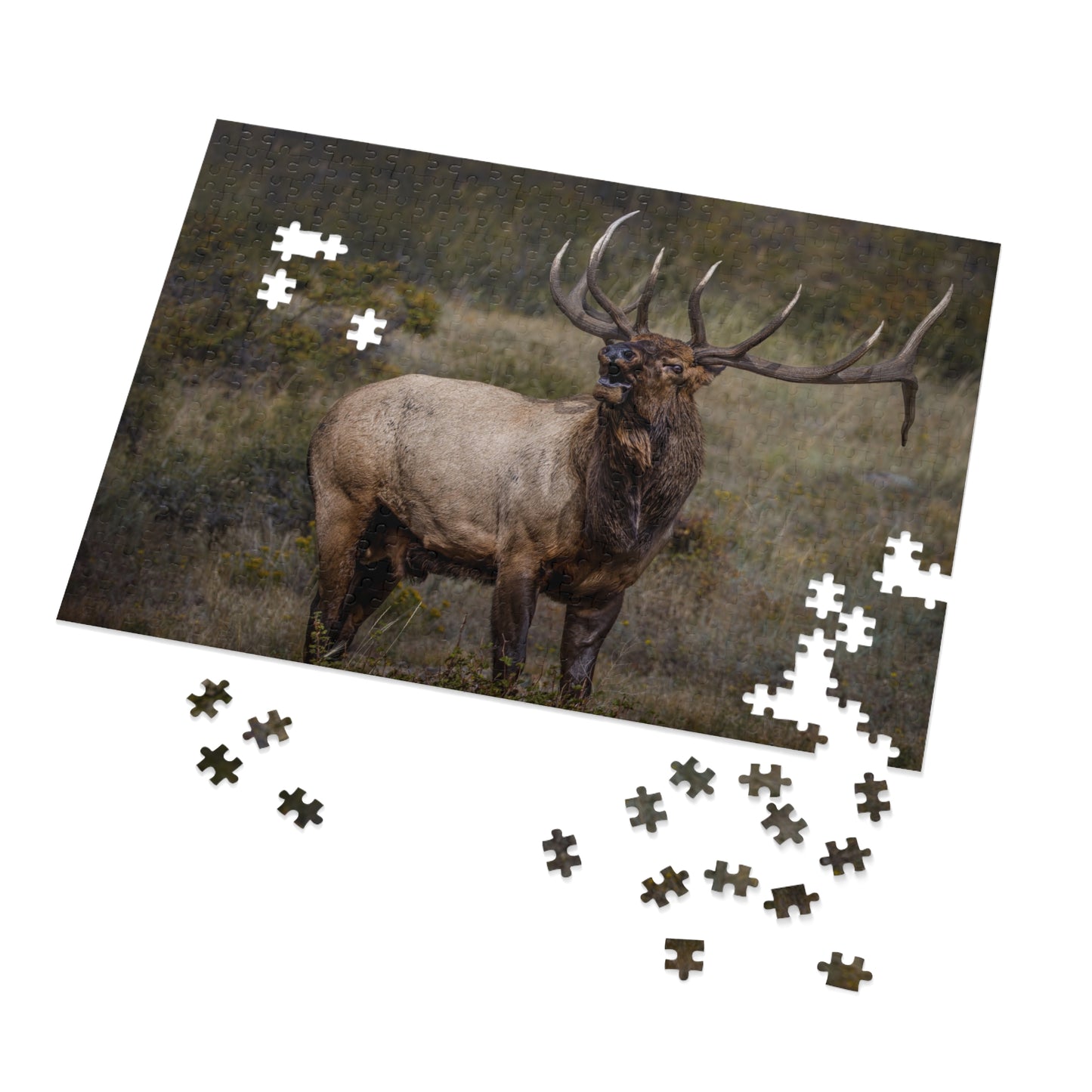 "BEAMER" BULL ELK - PUZZLE