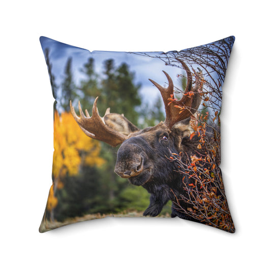 "PEEK A MOOSE" Bull Moose Photo Pillow