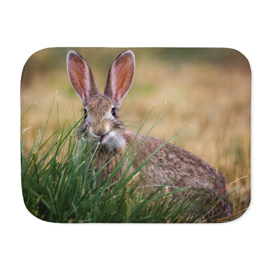 "FUNNY FACE" COTTONTAIL BUNNY - SHERPA BLANKET