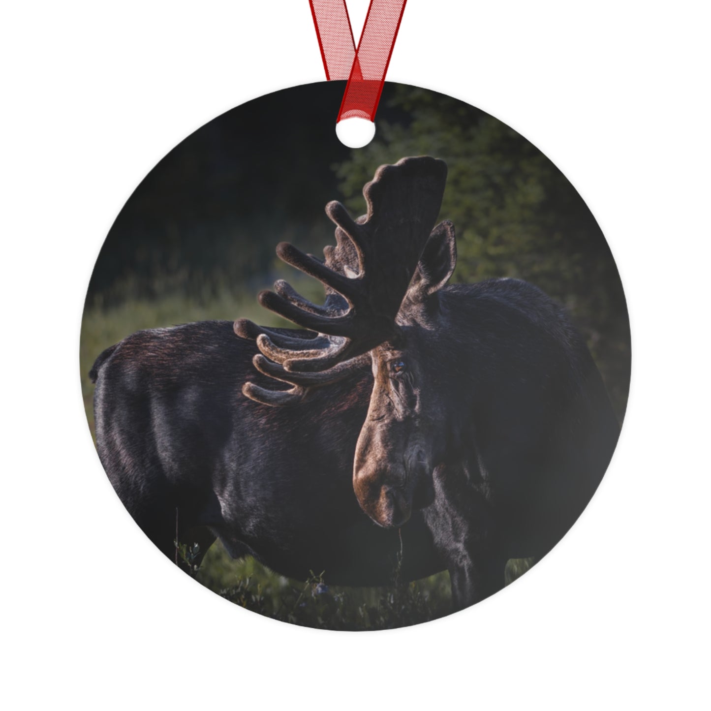 "VELVET HIGHLIGHTS" Bull Moose - Metal Christmas Tree Ornament