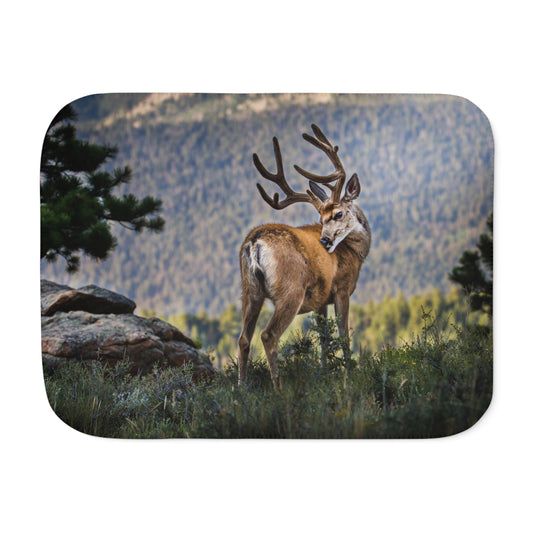 "BACKDROP ITCH" MULE DEER - SHERPA BLANKET