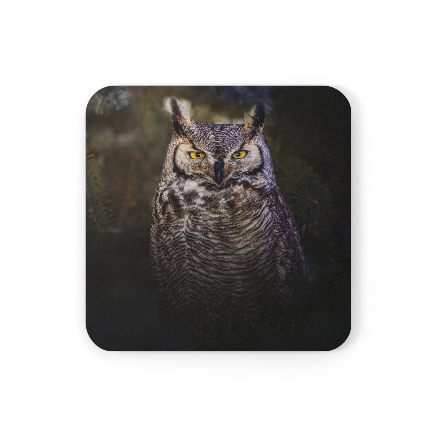 "OLD SOUL" Great Horned Owl Photo Coaster