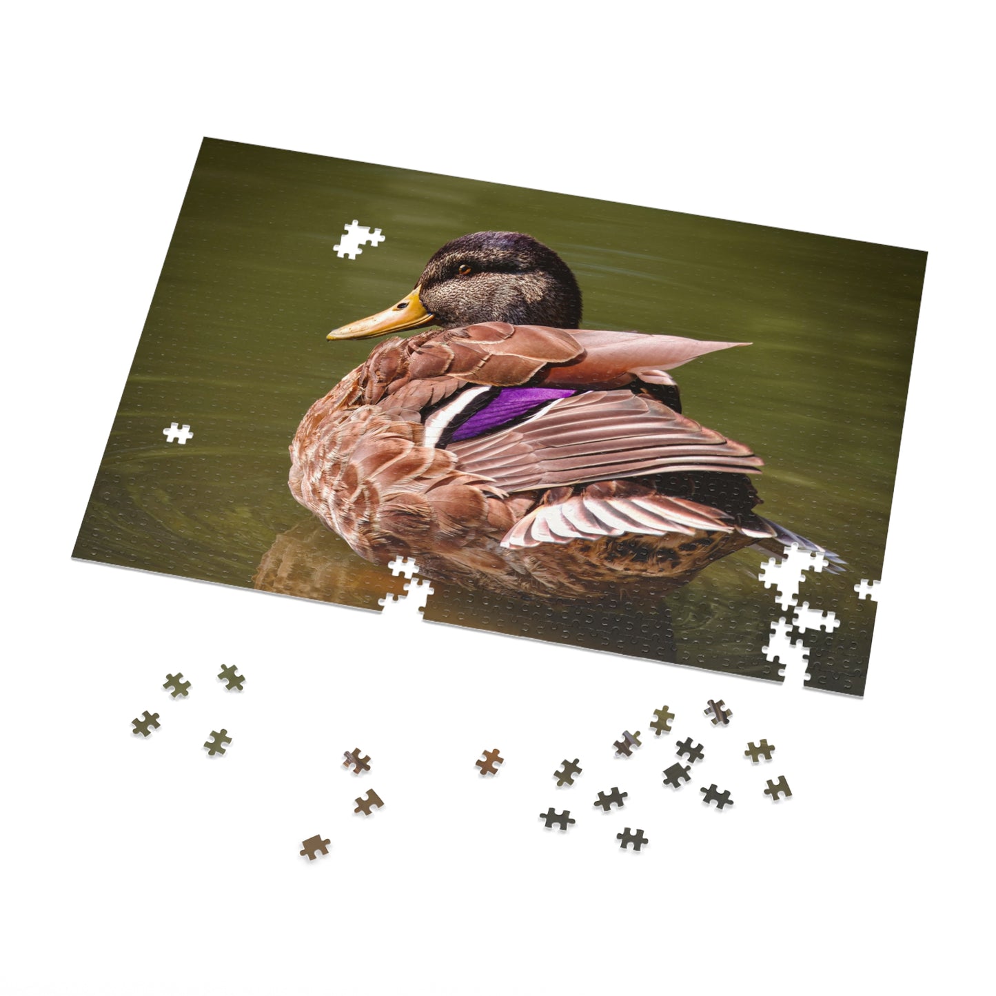 "SETTING COLOR" DUCK - PUZZLE