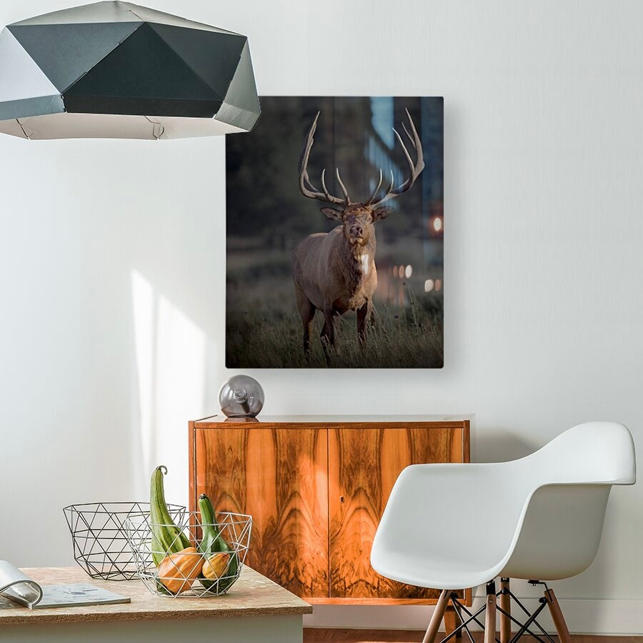 "ATTENTION GETTER" BULL ELK - PRINT