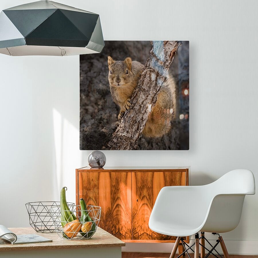 "CUTE ATTITUDE" SQUIRREL - PRINT