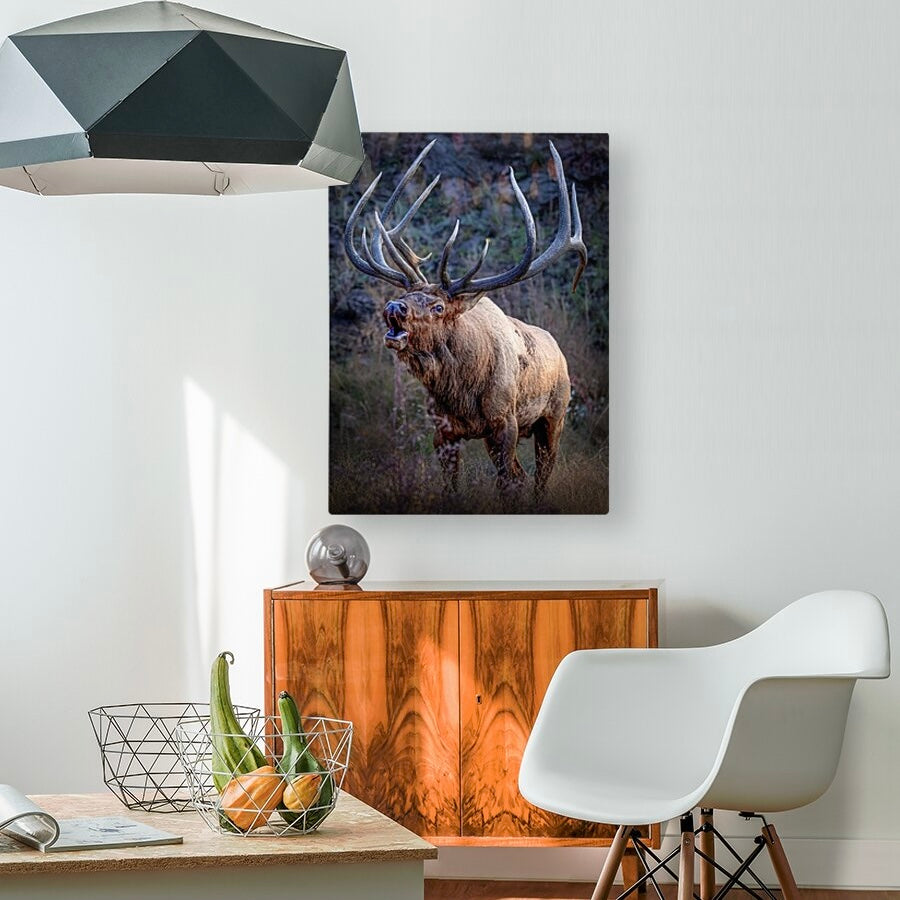 "LEGEND" BULL ELK - PRINT