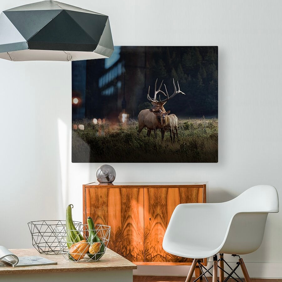 "GENERATIONS" BULL ELK - PRINT