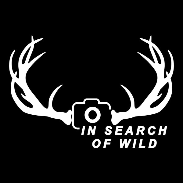 In Search of Wild