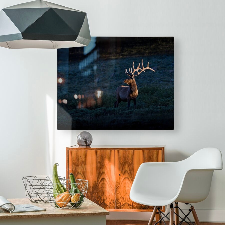 "LIGHT BEAM" BULL ELK - PRINT