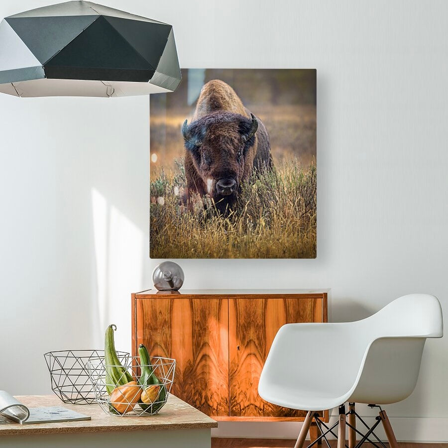 "MISTY MORNING" BISON - PRINT