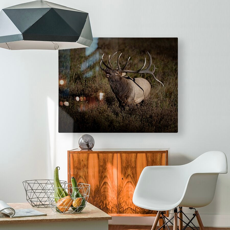 "SPLIT DECISION" BULL ELK - PRINT