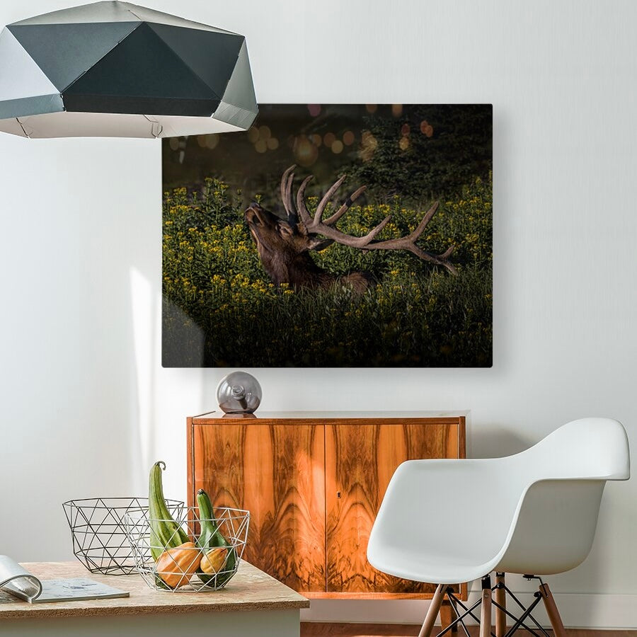 "WILDFLOWER SUNBATH"  BULL ELK - PRINT